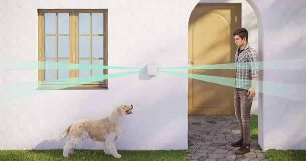 Doble Detector de Barrera Exterior - 30 mtr